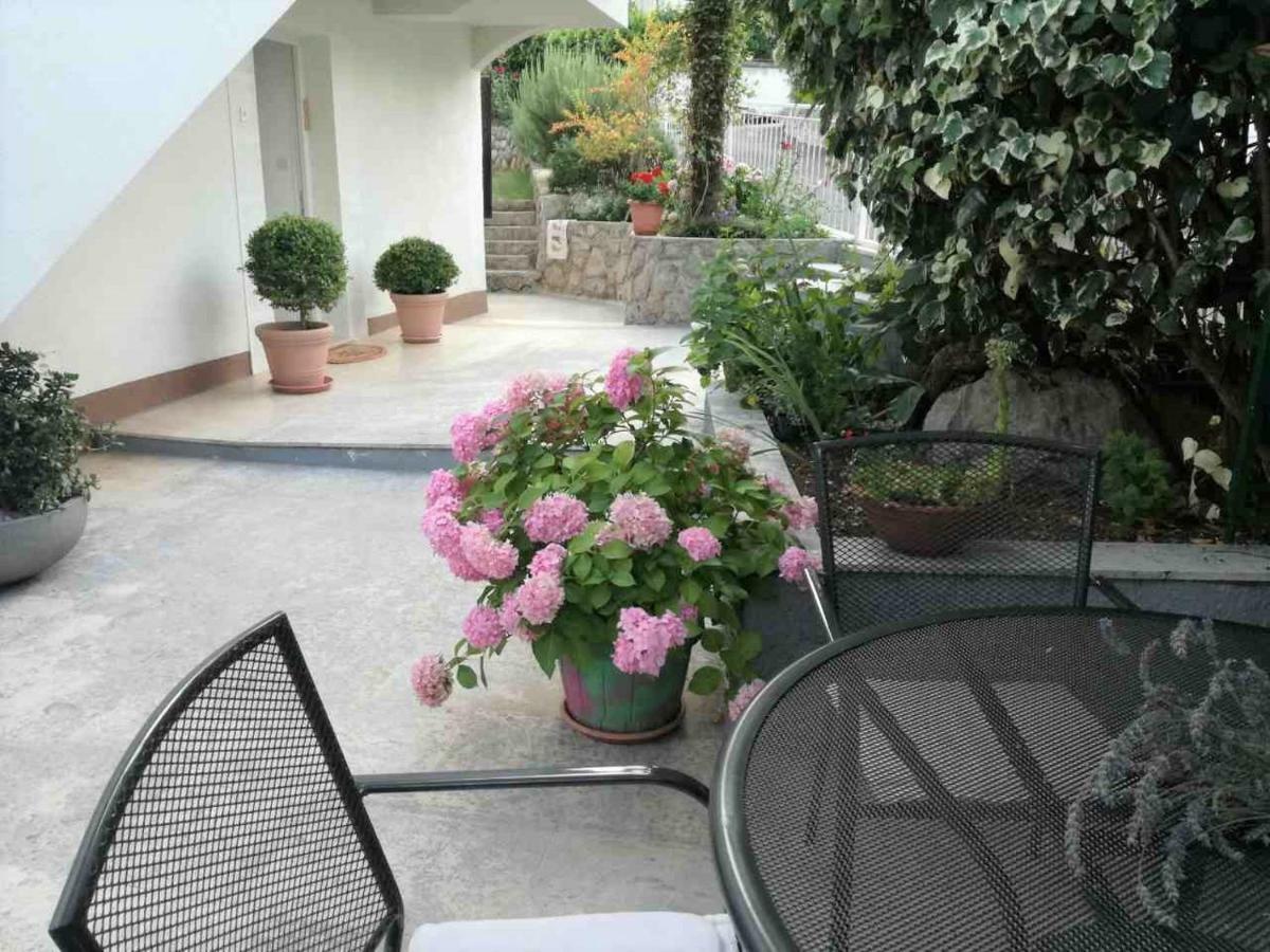 Tanja Apartment *